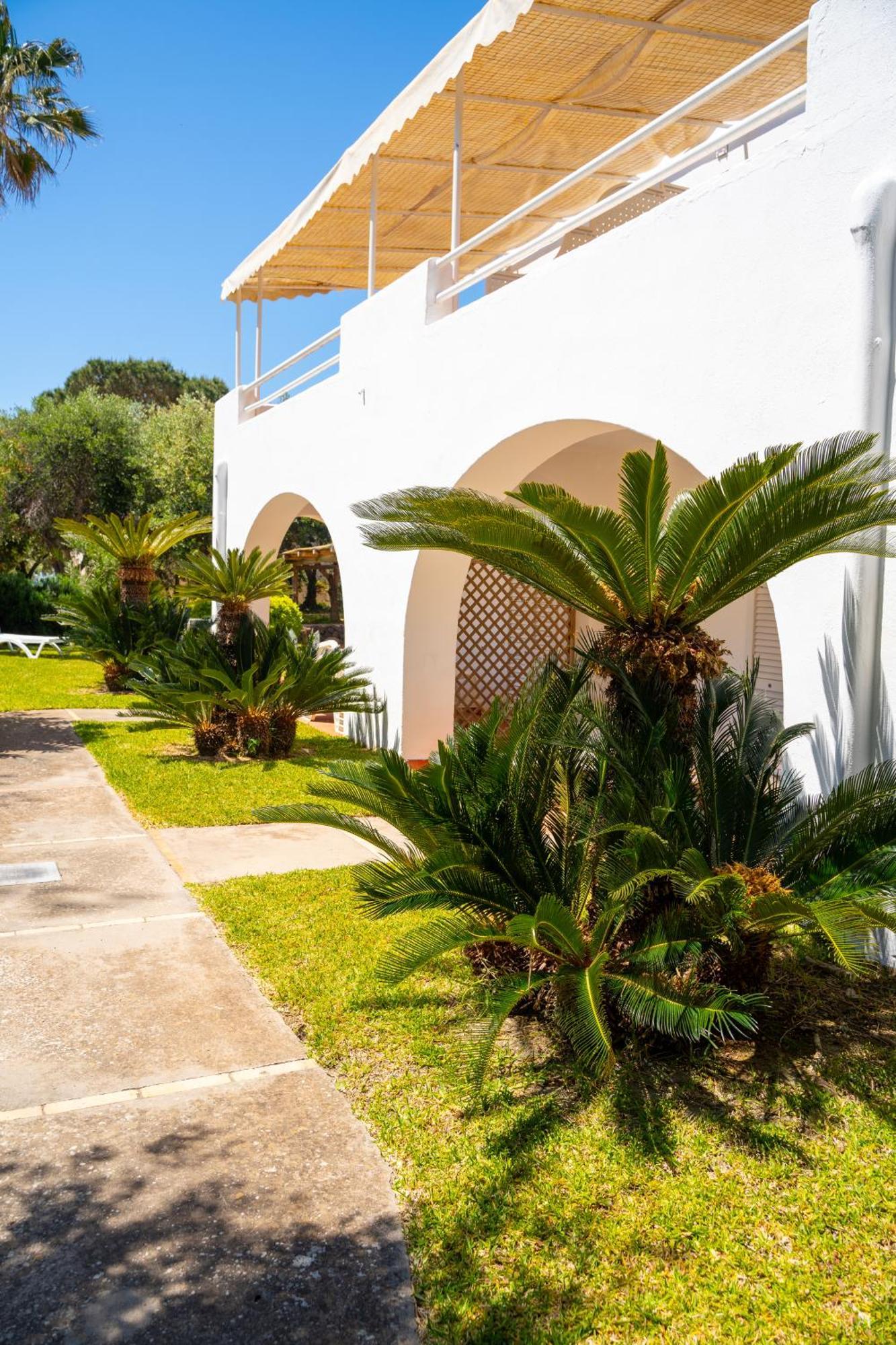 Residence Palummera Ischia Exteriör bild
